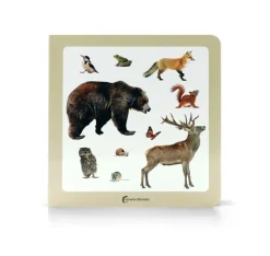 Animales del bosque 2