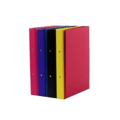 Saro Archivador folio cubierta de plástico 2 anillas