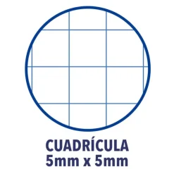 Oxford Bloc A4 cuadro 5mm. 150hj tapa extradura