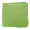 Grafoplas Bolsa de disfraz 25 unidades verde claro 56x70cm