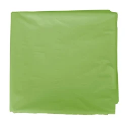 Grafoplas Bolsa de disfraz 25 unidades verde claro 56x70cm