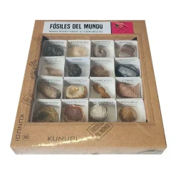 Kunugi Caja de fósiles del mundo