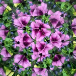 Kikkerland Caleidoscopio Huckleberry