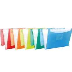 Oxford Carpeta clasificadora tipo acordeón A4 PP colores surtidos