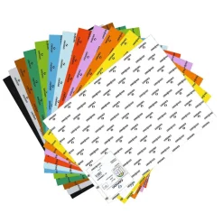 Canson Cartulina pliego 50x65cm. paquete unicolor 25 unidades Guarro