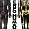 El cuerpo humano