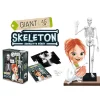 Buki Esqueleto 45cm para ensamblar