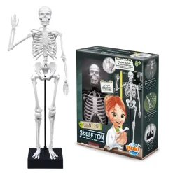 Buki Esqueleto 45cm para ensamblar