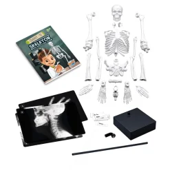 Buki Esqueleto 45cm para ensamblar