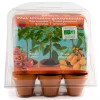 Radis et capucine Kit de cultivo 6 mini macetas tomates bio.