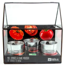 Radis et capucine Kit de cultivo invernadero cristal tomates bio con 3 macetas metal
