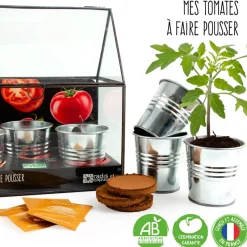 Radis et capucine Kit de cultivo invernadero cristal tomates bio con 3 macetas metal