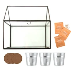 Radis et capucine Kit de cultivo invernadero cristal tomates bio con 3 macetas metal