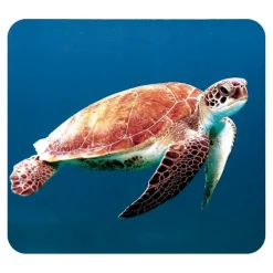 Moses Linterna y proyector animales marinos