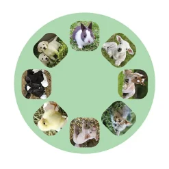 Moses Linterna y proyector bebés animales