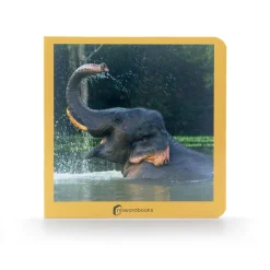 Los Animales Salvajes