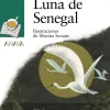 Luna de Senegal