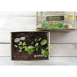 Farmtastico Mi primer huerto