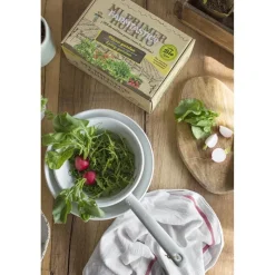 Farmtastico Mi primer huerto