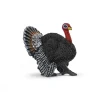 Schleich Pavo.