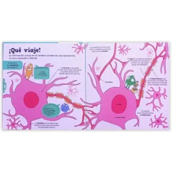 Pequeños curiosos: Conoce tu cerebro