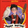 Pocket Potters - Harry Potter
