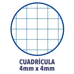 Oxford Recambio A4 cuadrícula 4x4mm 4 taladros 250 hojas con margen 90gr.