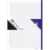 Pacsa Recambio A4 cuadro 5mm. 100 hojas 4 taladros borde violeta