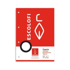 Escolofi Recambio tamaño cuarto cuadro 6mm. 100 hojas con margen y 4 taladros