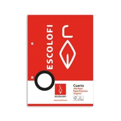 Escolofi Recambio tamaño cuarto cuadro 3mm. 100 hojas con margen y 2 taladros