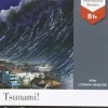 Tsunami! (B1)